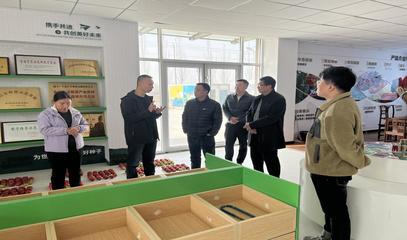 專家技術指導守護種業安全 技術推廣服務